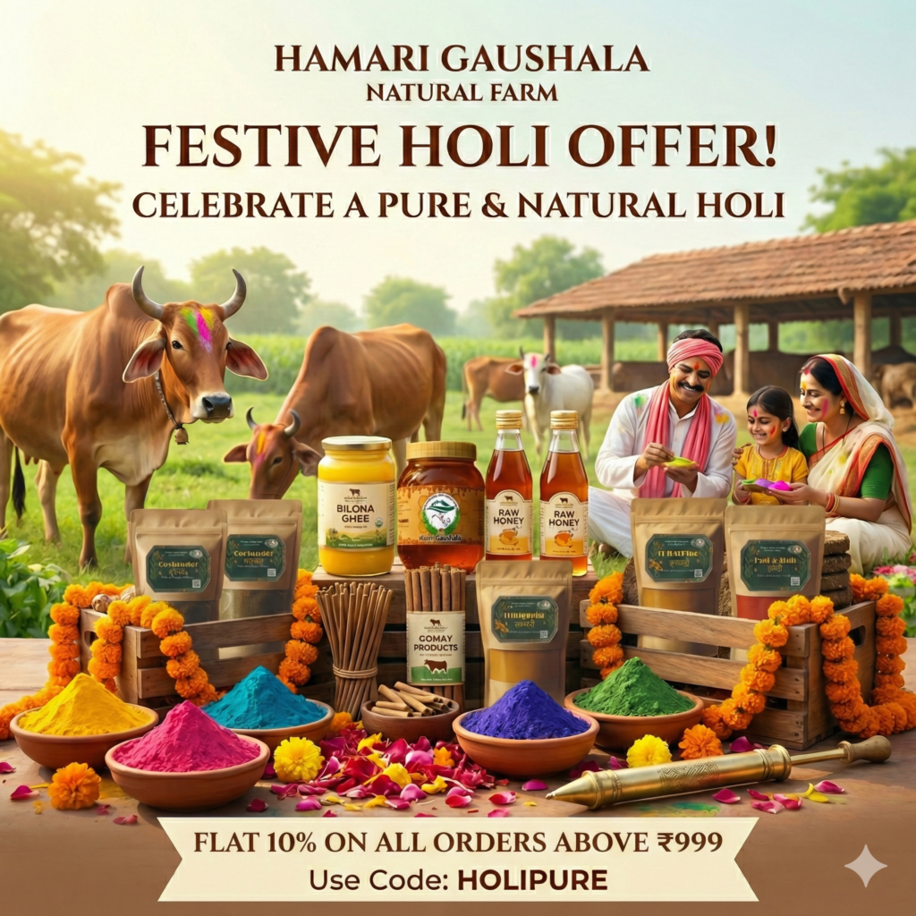 HOLI Festive Offer